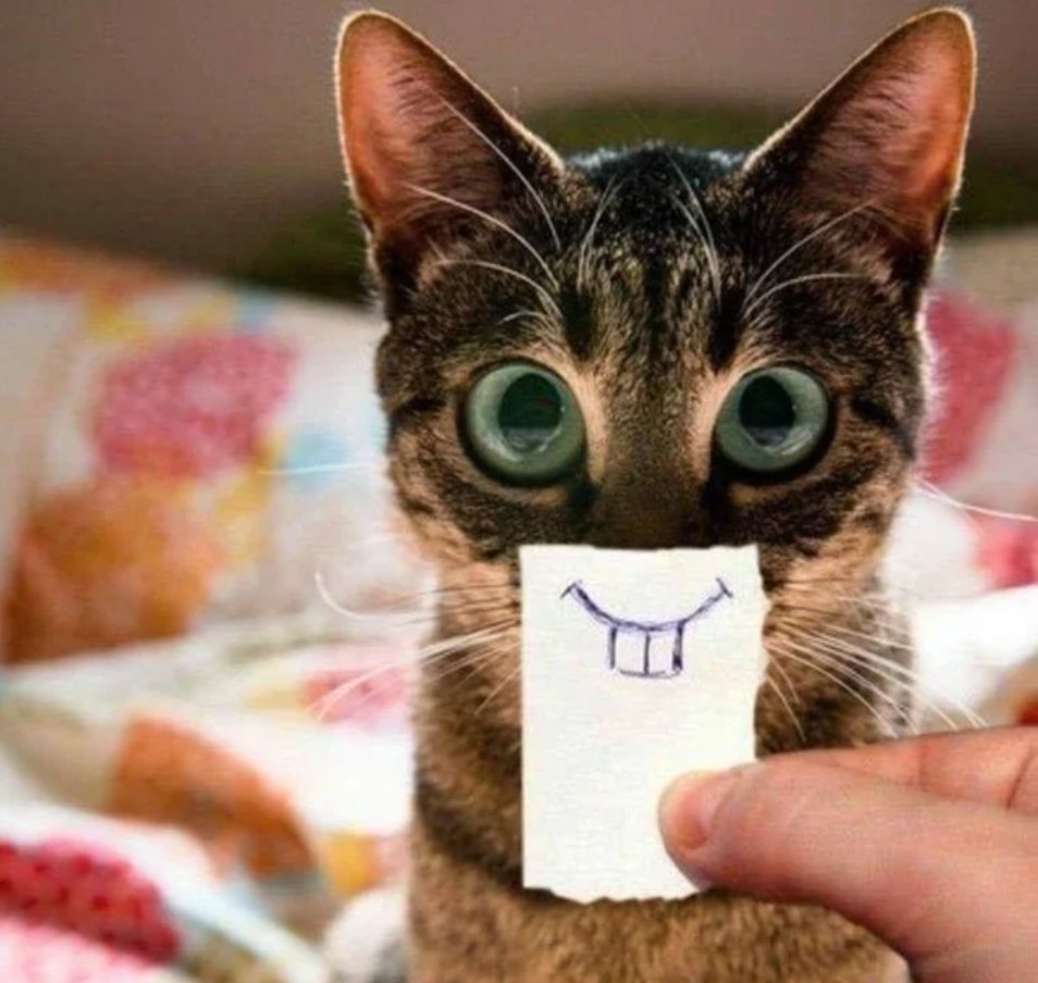 Versaweb tweet media