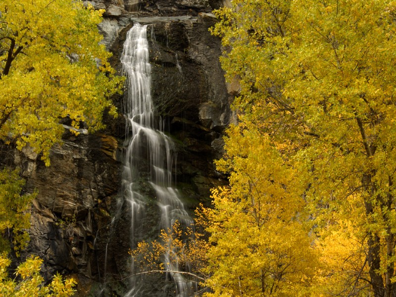 CusterAreaChamb's tweet photo. The Custer area is a great place to make your Black Hills headquarters. Read our new blog "Top Day Trips from Custer" to learn more! https://t.co/bgotTamWQe https://t.co/AKjYgeND1H