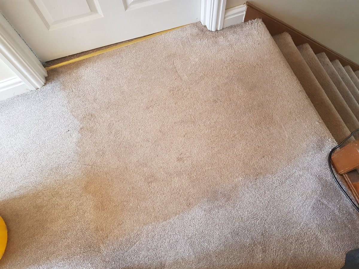 Captain Rug Wash Carpet & Upholstery Cleaning tweet media