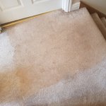 Photo by Captain Rug Wash Carpet & Upholstery Cleaning (@EcsSw)