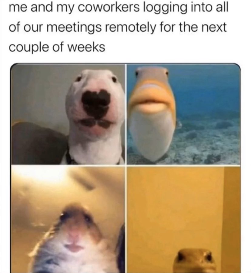 SmileSamStyle's tweet image. 🙃