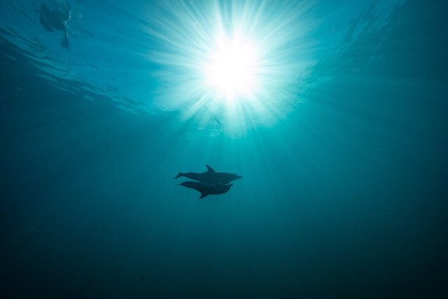 WildQuestBimini's tweet photo. While it's easy to get swept up in the fear mindset at a time like this, itβs important to remember we can consciously choose to be empowered in each moment by increasing our self-care & choosing a reality of trust & love. Weβre all in this together π #oneworldonepod https://t.co/YN4ROr4YLz