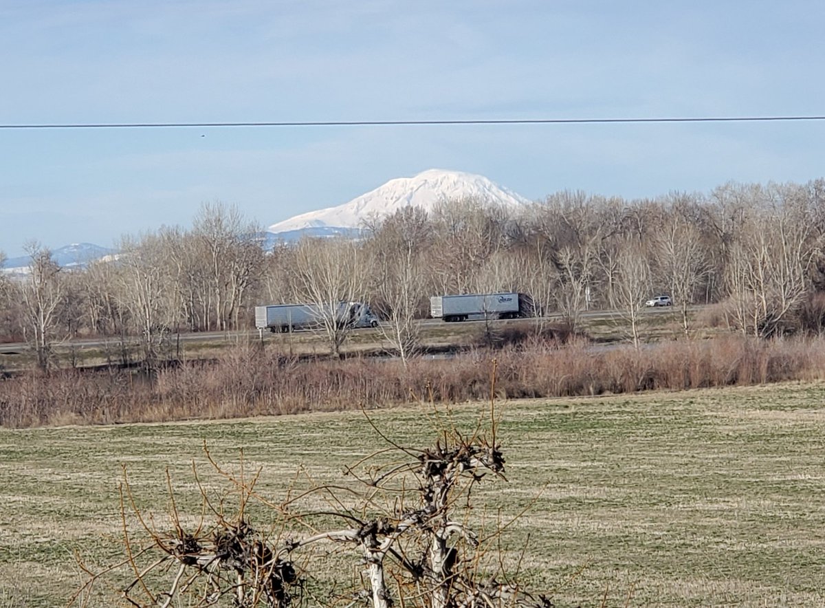 Manriquez86's tweet photo. My livingroom view will help me get through staying at home when the time comes. #Pahto #Dryside #yakimavalley https://t.co/zmw0IGfAfF