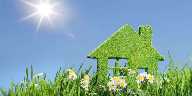 PFBSpeak's tweet photo. 7 Steps to a Healthy Home https://t.co/ycg1Lmaq7n https://t.co/TdSBbCmfFz