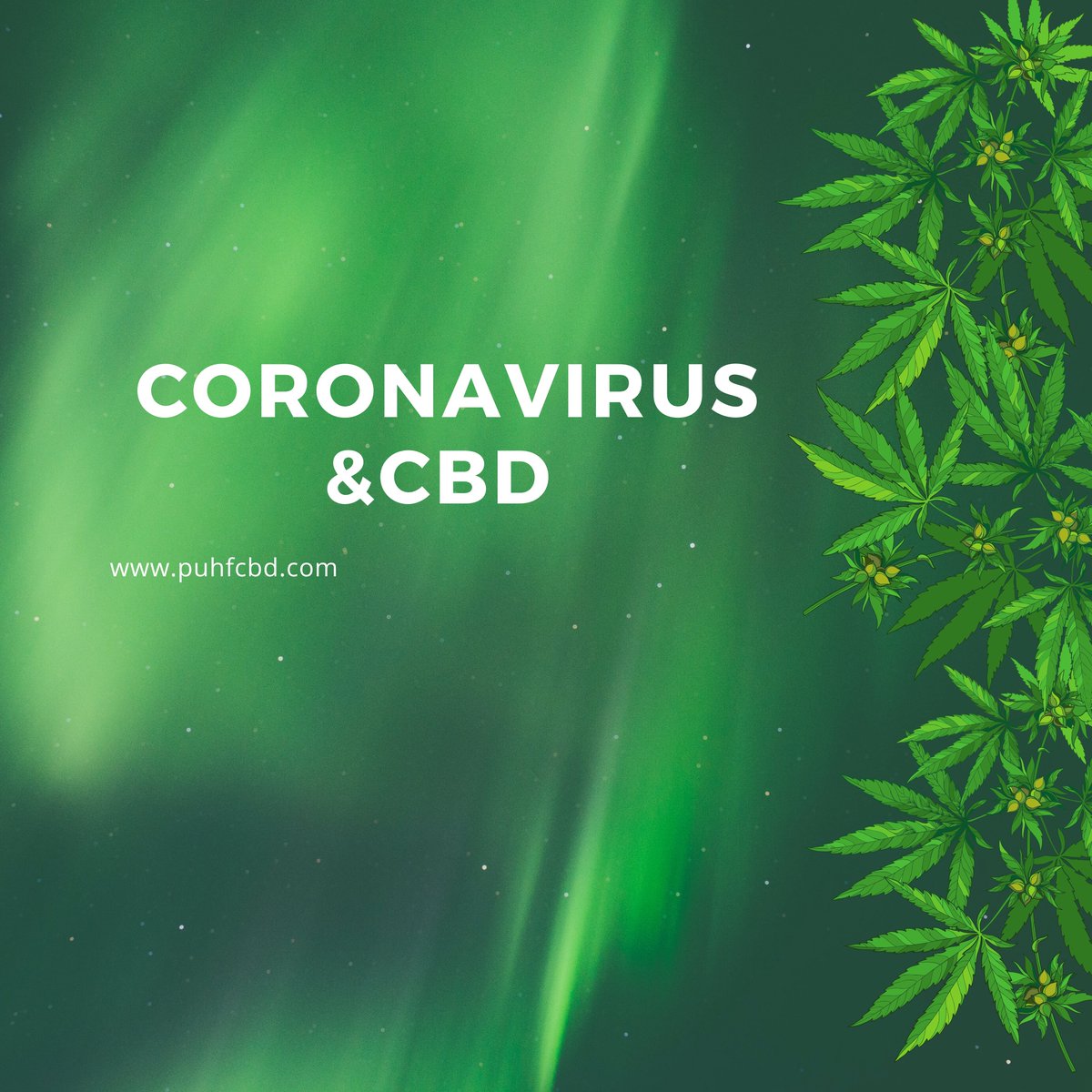 PuhfCbd's tweet photo. During this #coronavirusoutbreak, everyone is on edge. We all know that our anxiety and stress levels are through the roof! #cbd helps calm your stress and leaves you anxiety free so you can focus on taking care of yourself and your family! #coronavirus #coronapocolypse #selflove https://t.co/gitJ0h4nBg