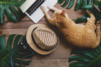 Codedesign2015's tweet image. Finding the right Digital Marketing Agency can feel overwhelming, we've come up with 10 questions to guide you in finding the right fit for your goals. 🤝
#MondayMotivation #DigitalMarketing #DigitalMarketingAgency #business #online #SEO #WebsiteDesign
codedesign.org/10-essential-q…