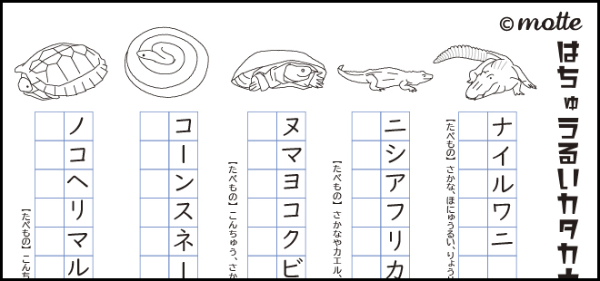 カタカナの練習 カタカナの練習