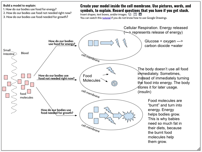 First day of eLearning is going well! Students were asked to build a model using Google Drawings to explain, How do our bodies use food (1)for energy? (2)not needed right now? and (3)needed for growth? Check their models! #106learns #GoogleDrawings