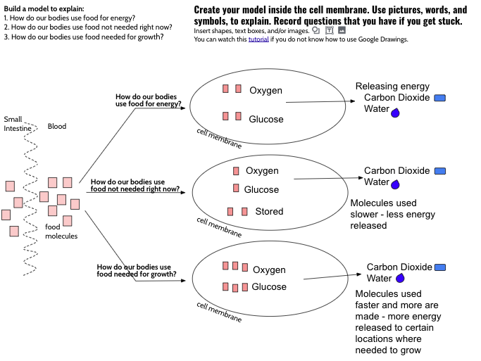 MrsKinzel106's tweet photo. First day of eLearning is going well! Students were asked to build a model using Google Drawings to explain, How do our bodies use food (1)for energy? (2)not needed right now? and (3)needed for growth? Check their models! #106learns #GoogleDrawings https://t.co/JB105nmiXQ