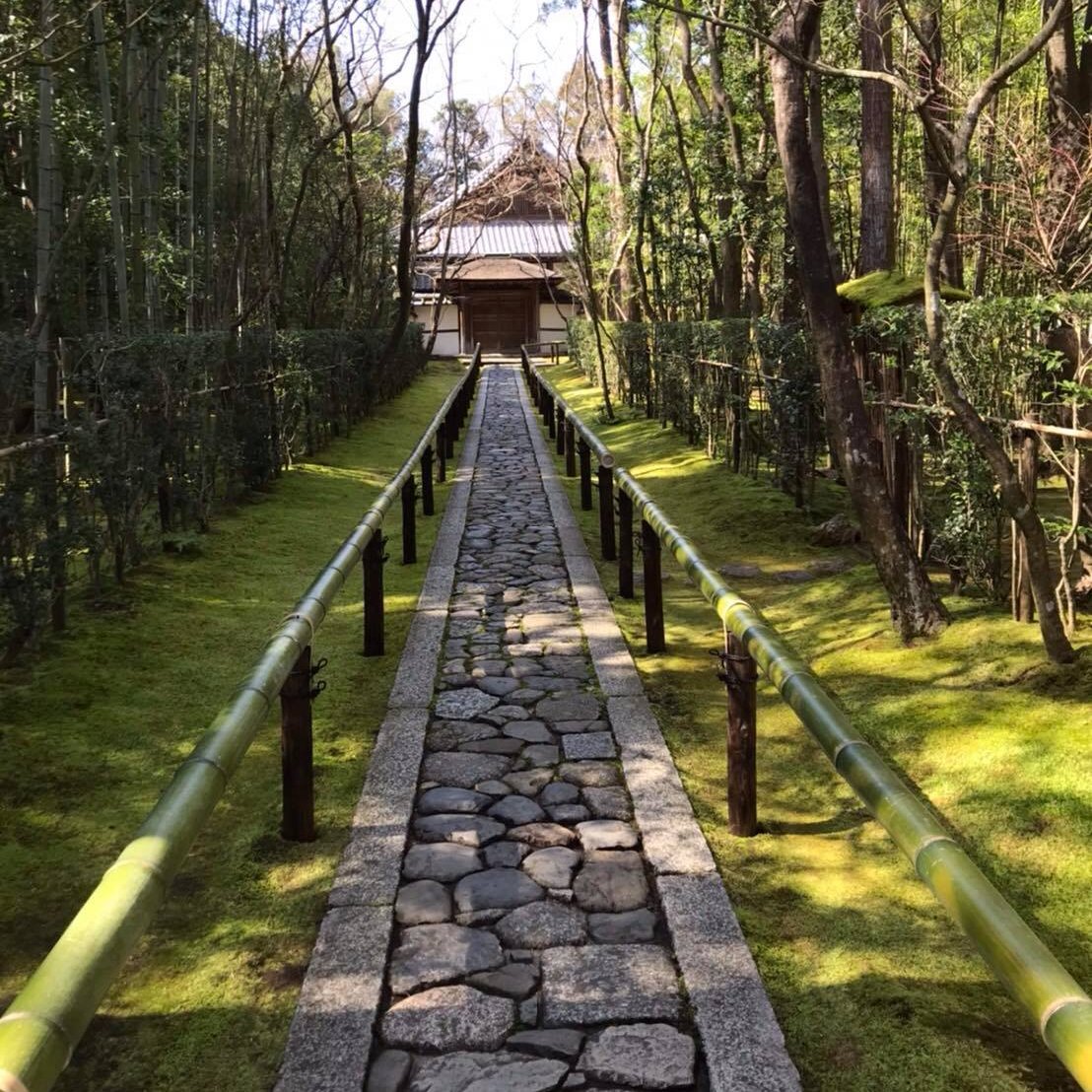 InsideJapan's tweet photo. The atmospheric road of Koto-in Subtemple of Daitoku-ji Temple in Kyoto
๐ธ: #InsideJapan's Takeshi
#KyotoTemple #DaitokujiTemple #KyotoGuide https://t.co/vyC6McTFfR