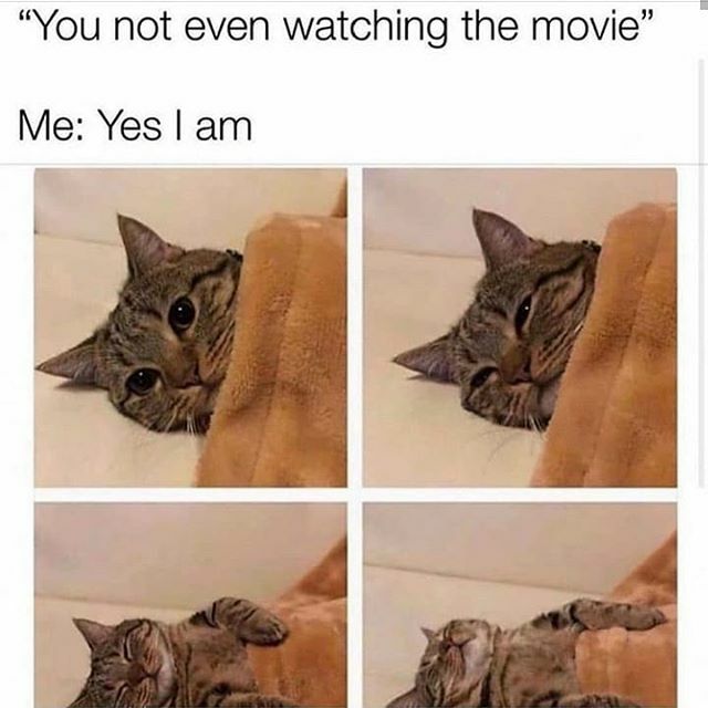 VeganKitchen's tweet photo. 😹 What kind of movies put you to sleep? Action, Romance, Drama, Blue? .
.
👊 #repost 
Click link In Bio for funny vegan stickers, tshirts and more products coming soon...
.
.
#sleepingcat #catsofinstagram #veganmovies #netflix #herbivore #compassion #… https://t.co/eEdmubW4vh https://t.co/gV1lVxiJzL