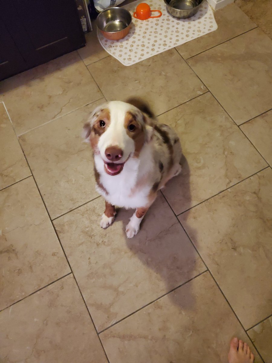 Content from jaxerie