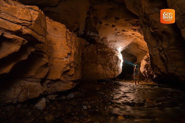 Ecoterra_Exp's tweet photo. In the Venado Caves you can enter a labyrinth of ancient underground rivers and sea beds, now exposed after billions of years. You will visit formations such as the parto, papaya, coral and altar, as well as rock formations called stalactites and stalagmites. 
For more infor… https://t.co/1pEEVLCI7N
