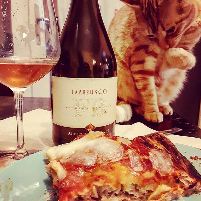 diveteree's tweet photo. Riprendere le buone abitudini ed iniziare a svuotare la cantina: Pizza fatta in casa e Lambrusco Metodo Ancestrale di @cantina.albineacanali .
Ovviamente con un #bestbitter a fare compagnia .
#pizza #impastateacasa #fattaincasa #homemade #homemadepizza #… https://t.co/CZxPDBfOdO https://t.co/RLQfd7VHoC