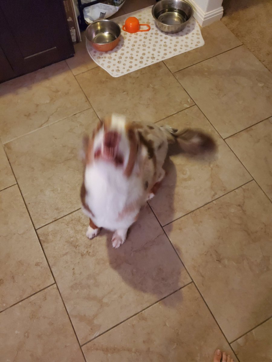 Content from jaxerie