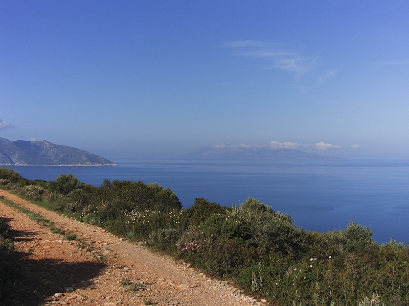 More Bee-Orchids from Samos to keep everyone cheerful.  
Ophrys herae; Ophrys regis-ferdinandii; Ophrys leochroma; view from habitat of latter!