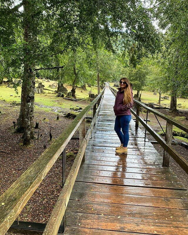 Michel2508's tweet photo. good trails ❣️ #goodlife #happy #happymoments  #landscapephotography #landscape #landscape_lovers #couple  #photography #photooftheday #pictureoftheday  #picoftheday  #instachile #gopro #surdechile #lamagiadelsur  #chile #outdoors #purochile #huilohuilo https://t.co/7Ie0qVQpsv