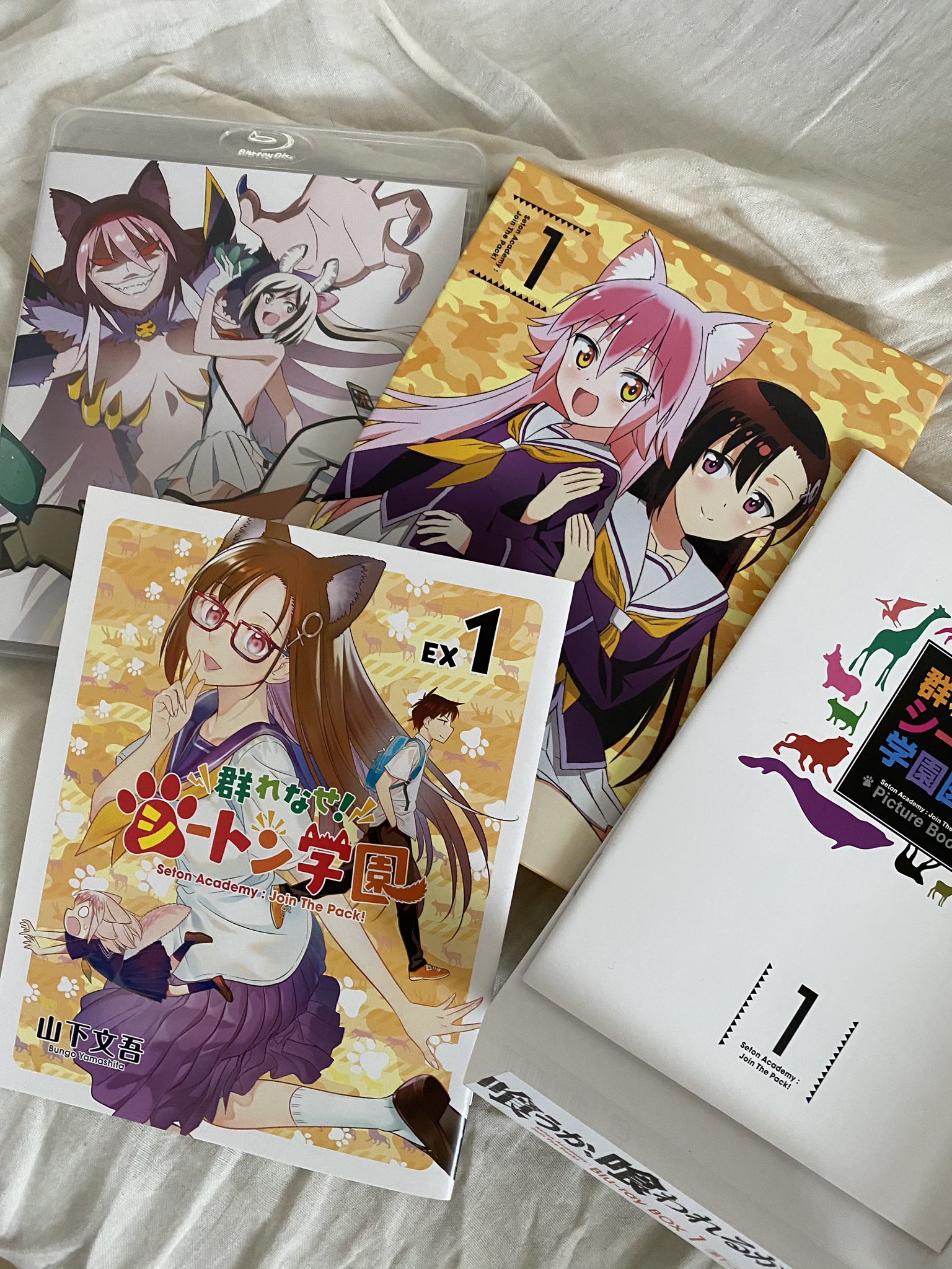 Ao シートン シートン学園 円盤みんな買おう 原作者様の描き下ろし漫画 ジン君入学前エピソード にブックレットまで丁寧でコレクターズアイテムとしてレベル高いよ T Co 08g7nyg9pk Twitter