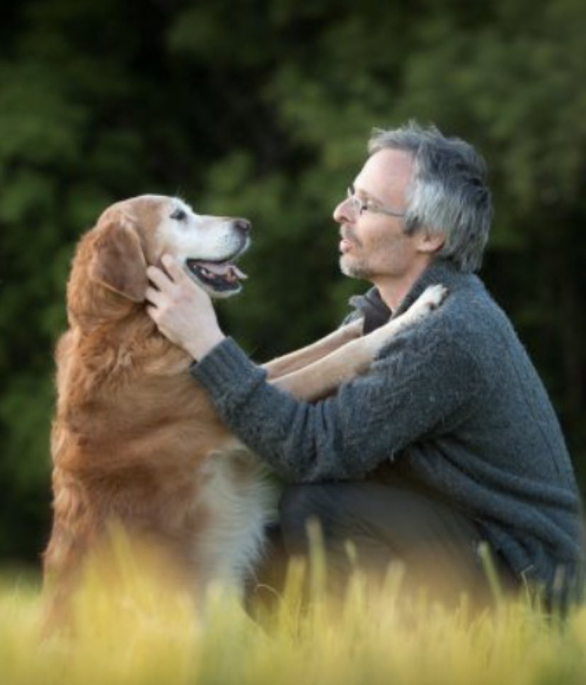 LoicDombreval's tweet photo. ⚠️ 🐶 🐱  On observe une augmentation des euthanasies et des abandons d’animaux alors que RIEN ne prouve qu’ils puissent propager le COVID-19 ! Le comportement responsable &amp; la meilleure prévention est d’éviter tout contact étroit &amp; de respecter les règles élémentaires d’hygiène. https://t.co/stUq4WRSiq