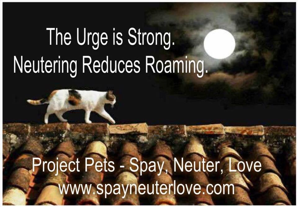 They can’t help themselves. Nature’s call is very loud. You have to help them out. Neutering your pets reduces the urge to roam. Spay &amp; Neuter saves lives. It could save your pets life. Be part of the solution. Do it today. #spay #neuter SpayNeuterLove.com/donate