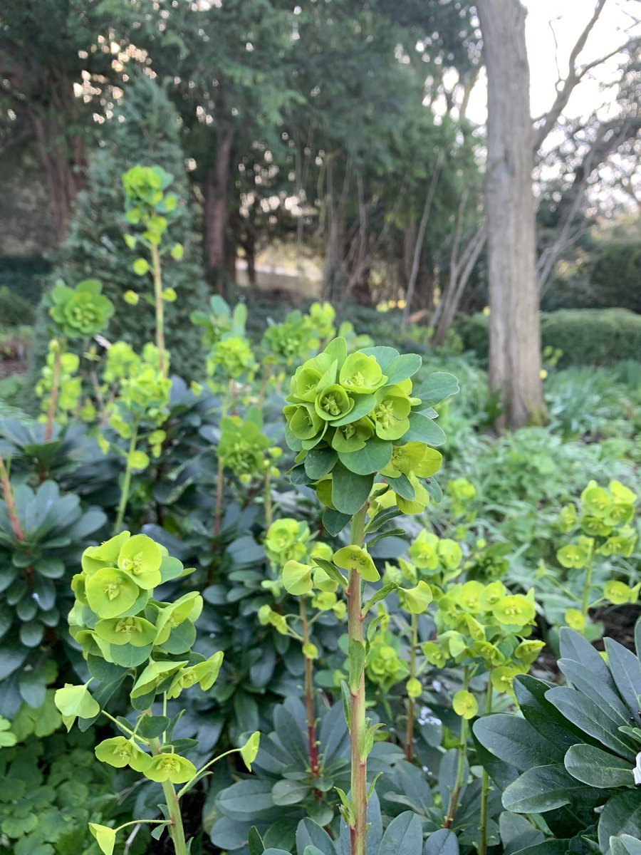 Good Afternoon, for the time being we are assuming that our courses are all still to go ahead however we will be taking advice and following guidelines and should anything change we will let you all know directly. 
Best, 
The Adam Frost Garden School Team