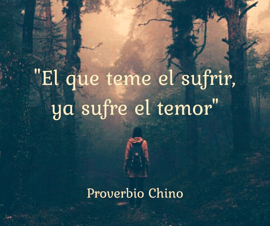 VicenteLaparra's tweet photo. El que teme sufrir... https://t.co/nEWvaIeuOL