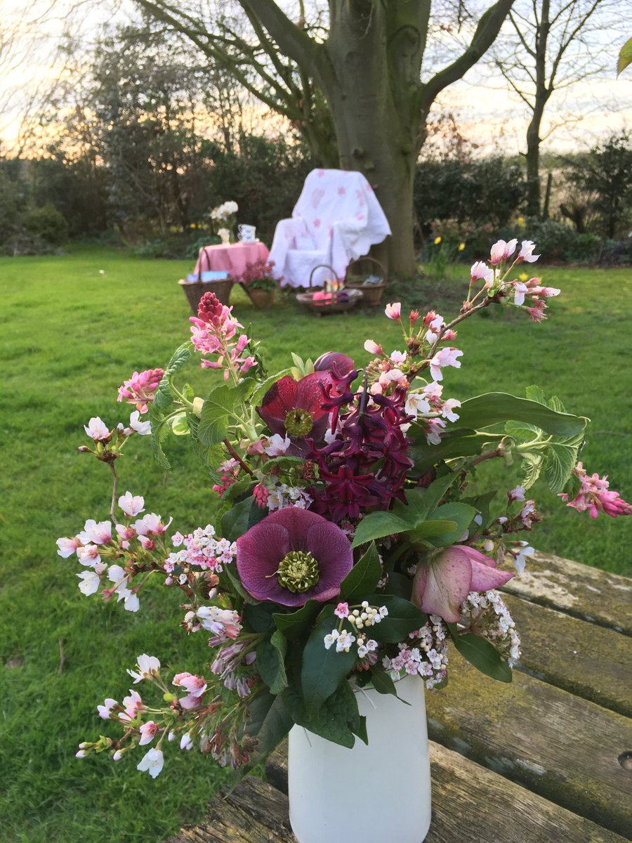kgimson's tweet photo. Here’s my #IAVOM In a Vase on Monday. Finding comfort in familiar things. Flowers, books, tea, cake, cat and pup. Stay safe everyone. Much love to you all xx https://t.co/qz0f3nLk0t