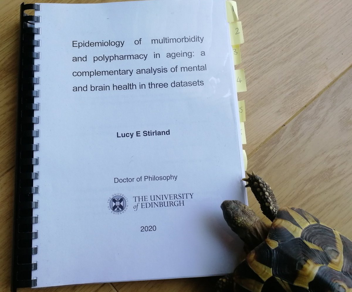 Stirlandia's tweet photo. I passed my #PhD viva with minor corrections today. Thanks to examiners @SusanShenkin @DrTerryQuinn & Rupert Payne for your input and for going ahead in these strange times and to supervisors Graciela Muniz Terrera, Tom Russ and @craig_ritchie68. Funding from @MedResFdn #PhDpets https://t.co/qEvE8k8P9b