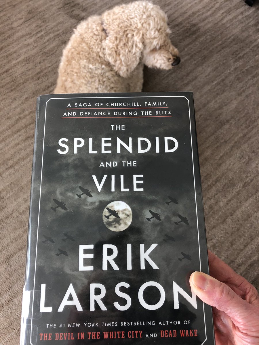 SSQueenB's tweet photo. @MrSimonsonSS @OSchoolsPR @OMS_NY @LIB_OMS @MitchBickman @DrZiro Here’s my current read and Missy’s 2nd Twitter appearance. Was supposed to visit Churchill’s War Rooms in London next month. For now I’ll have to dream until I finally get there. https://t.co/onH6qBcr64