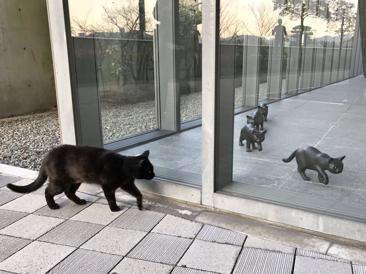 Memories 417『黒猫😺black cats 』(2017/ 3/17) ちょうど3年前。ブロンズ製の猫たちに気になったのが始まりですニャ。#尾道 #千光寺公園 #尾道市立美術館 #黒猫 #cat https://t.co/AA2bD38DHD