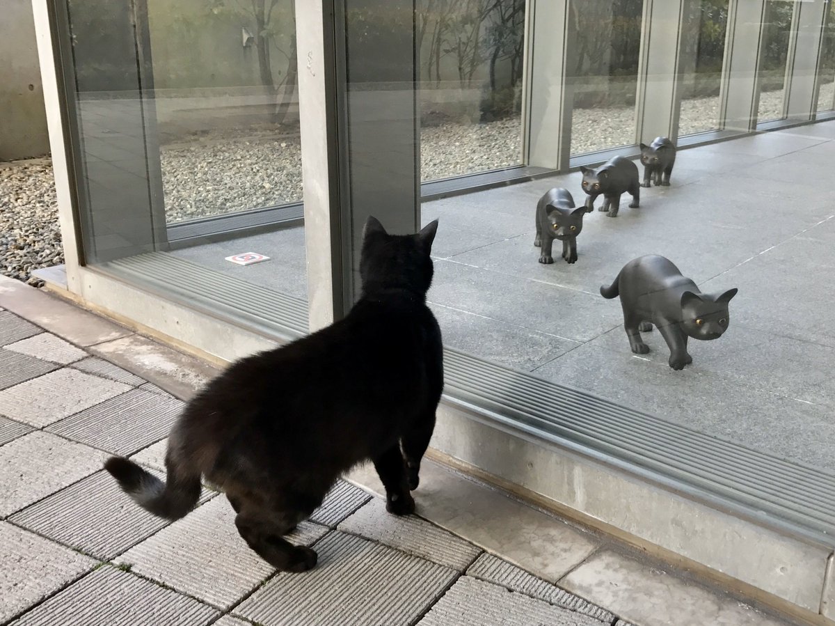 Memories 417『黒猫😺black cats 』(2017/ 3/17) ちょうど3年前。ブロンズ製の猫たちに気になったのが始まりですニャ。#尾道 #千光寺公園 #尾道市立美術館 #黒猫 #cat https://t.co/AA2bD38DHD