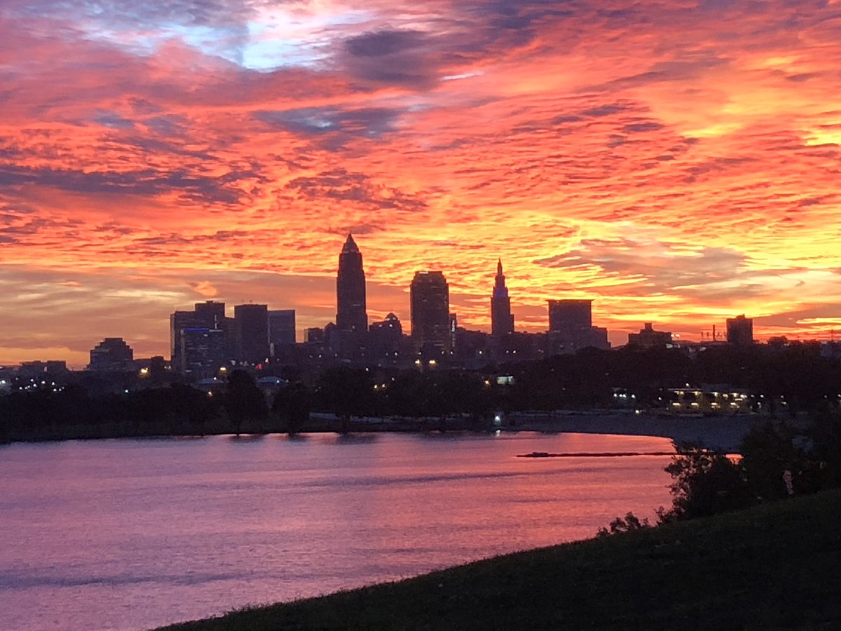 Mark Ross tweet media