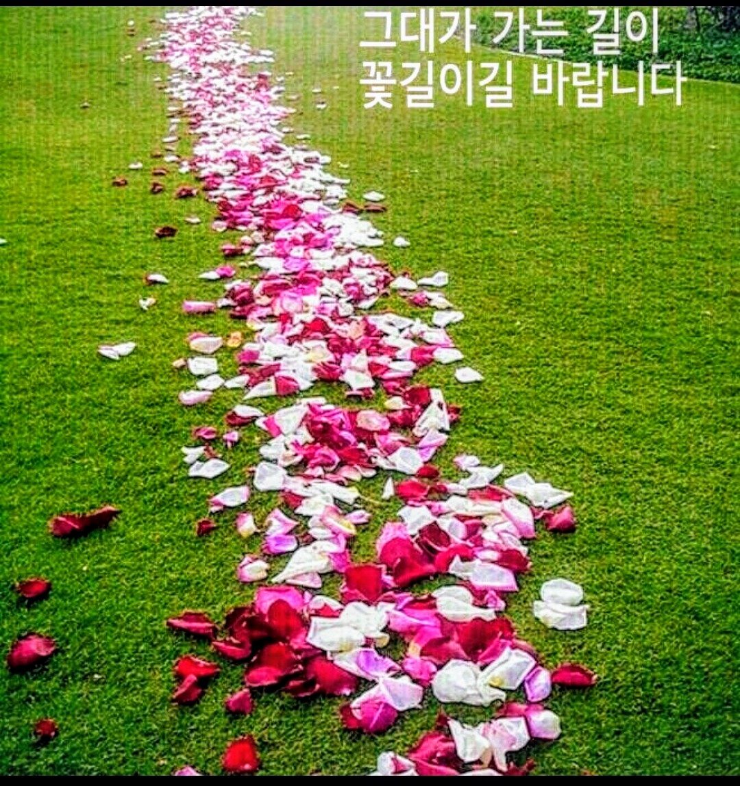 대한민국 국민들
힘을 결집합시다.
좋은날을 위해 조금만 
참고 견디면 꽃길을 걸어
다닐 수 있습니다.