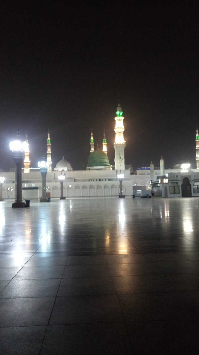 Üç gün önce Mescid-i Nebevi'nin dış avlu kapısında  Kubbetul Hadra'yı seyrederken tekerlikli sandelyede çok yaşlı bir mücavir geldi. Bana mealen-arapça-dedi ki:

"Yunus âleyhisselamı rüyamda gördüm. 'La ilahe illa ente sübhaneke inni kuntu minezzalimin' diyen kurtulacak'dedi."