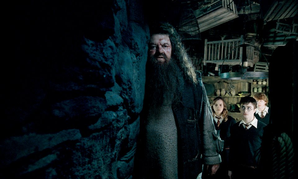 sihirbakanii's tweet photo. "Fırtına yaklaşıyor Harry, geldiğinde hazır olmalıyız." https://t.co/mVlqoyNwnU