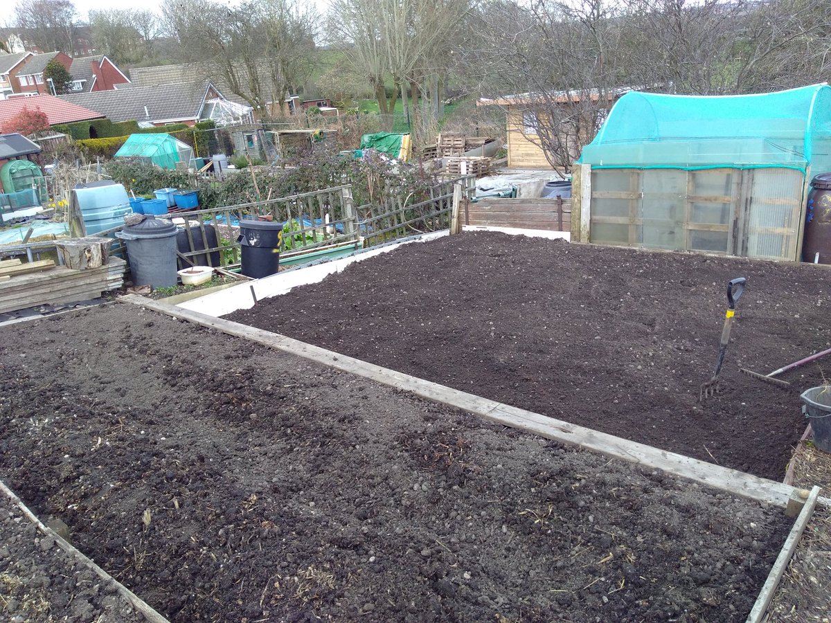 canudigit15's tweet photo. A beautiful spring day on the #allotment, more preparation, more beds dug over and weeded. Getting ready for planting soon
.. hopefully.#plot9 #plot15 https://t.co/nVvAP1jqcz