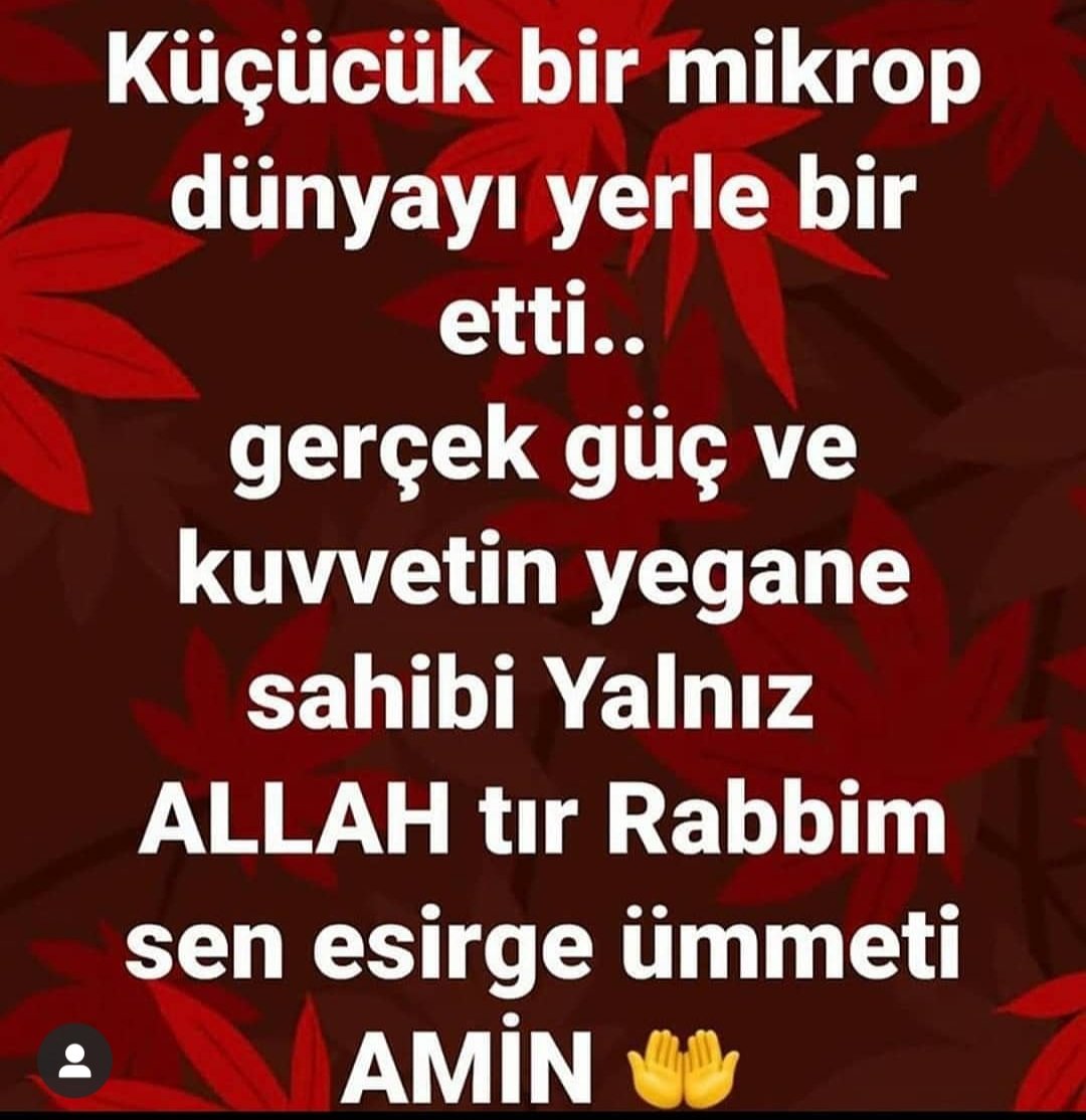 Alaaddin55 (@alaaddi35610144) on Twitter photo 