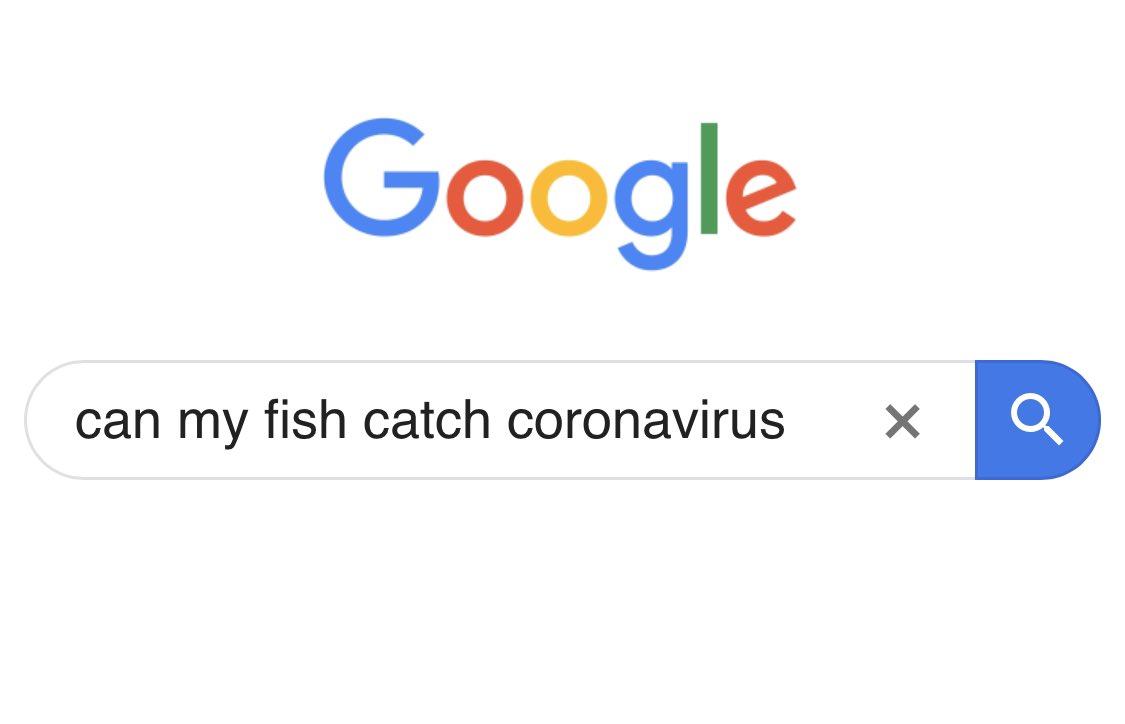 AmazingPhil's tweet image. Got my priorities in check today