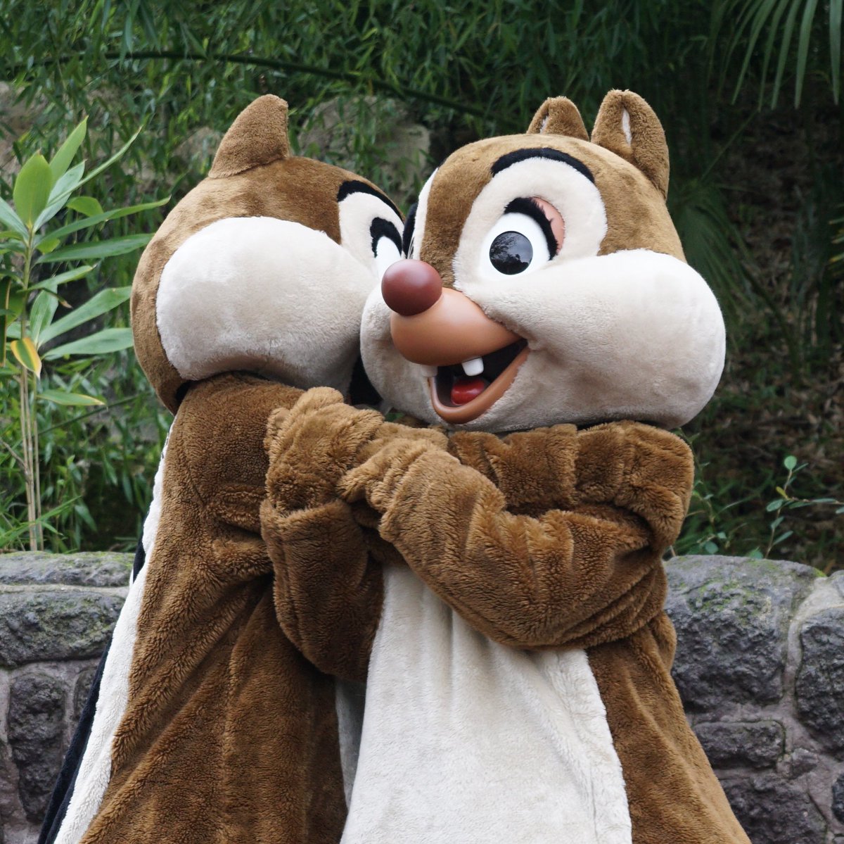 joyceadventures's tweet photo. Brothers ❤ #chipndale #chipanddale #chipdale #dale #chip #chipdisney #daledisney #disneychipmunks #chipmunks #myeverything #somuchlove #disneyland #disneylandparis #disneyparis #disneyparks #disneylandpark #disney #disneylife #disneylove #myangels #lovethemsomuch https://t.co/EMhWwtZWiq