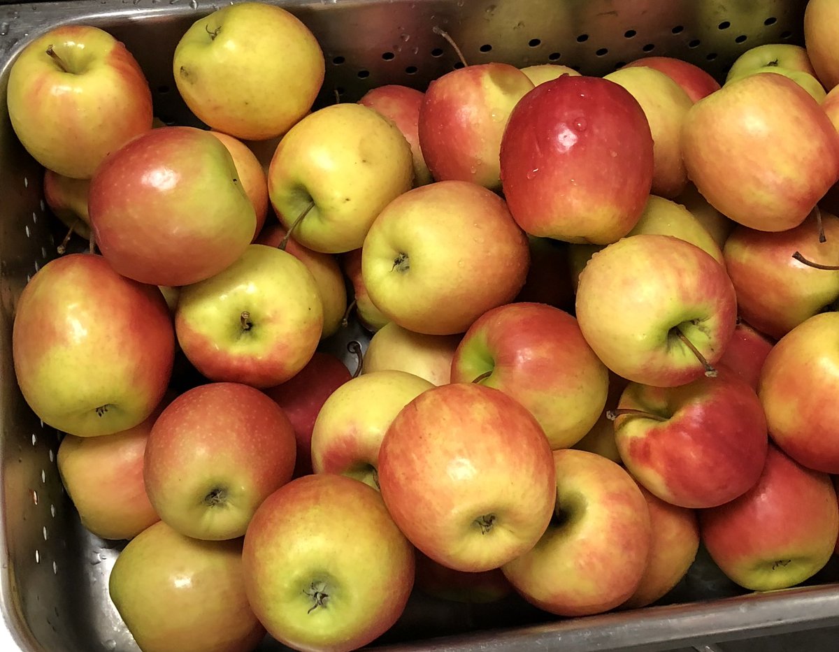 docsmatthews's tweet photo. Our @ncsdfoodservice closure food program begins Tuesday, March 17, from 9:00 AM - 1:00 PM. Drive in to the @NoviHighSchool Taft Rd. Bus loop/faculty parking lot. Any Novi student age 18 or younger. 7 days of breakfast and lunch in a grab and go format.#NoviPride https://t.co/Nz4qBRRCU2
