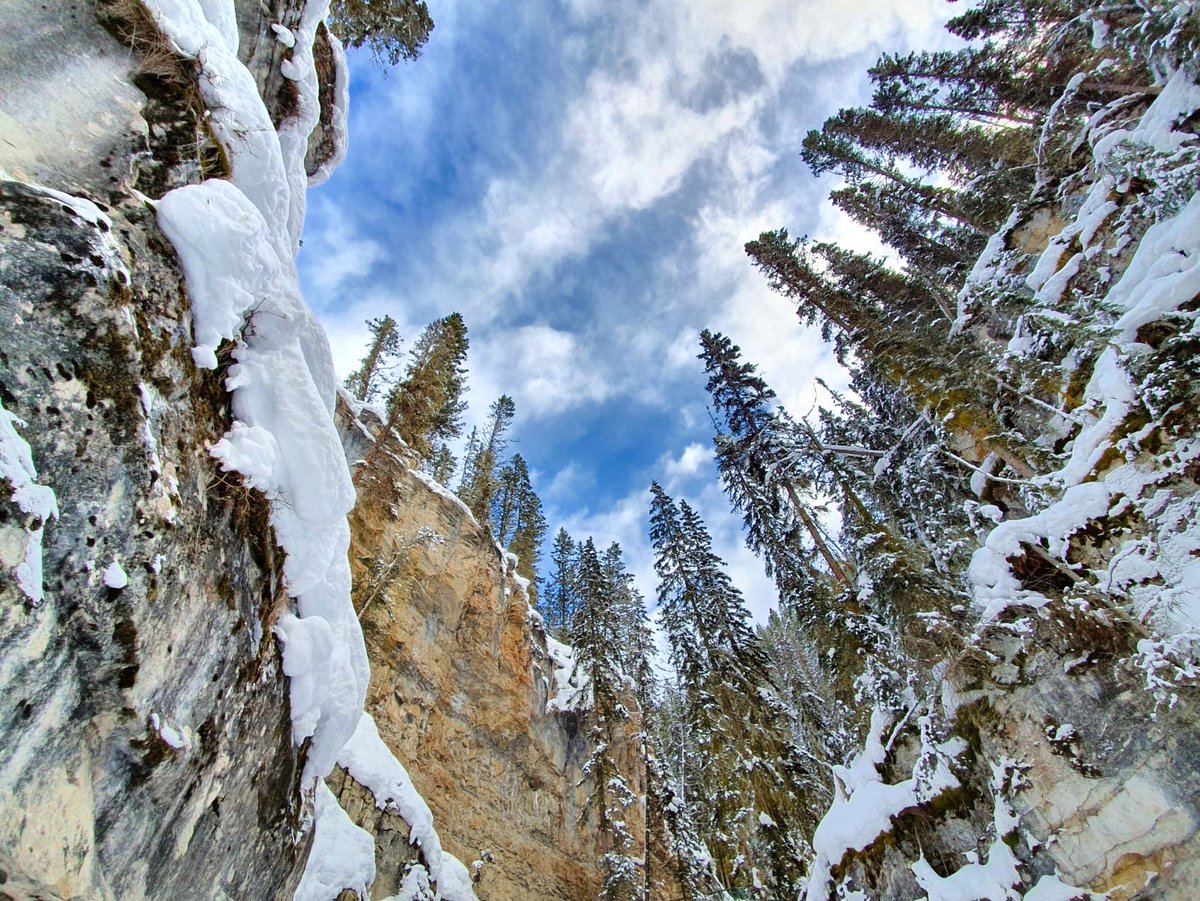 On the Rockies tours, you can try Johnston Canyon Ice Walk. This is the opportunity to see frozen waterfalls, cathedrals of ice and hiking the beautiful trail.

#livetheadventure #discovercanadatours #johnstoncanyon