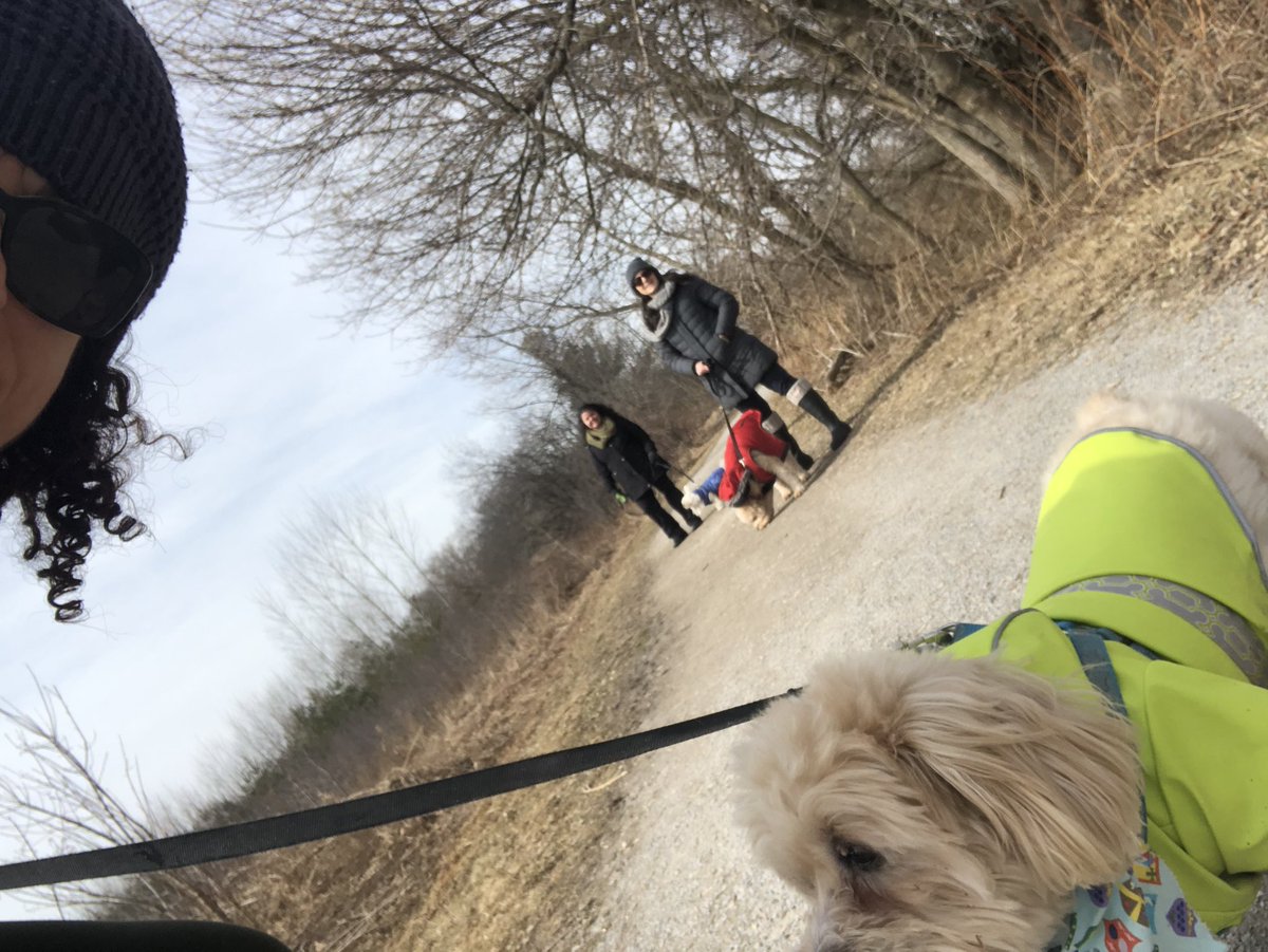 josie_khan's tweet image. Taking a walk on this glorious day 🌤 🐕 to ensure my mental health stays positive. #practicingsocialdistancing