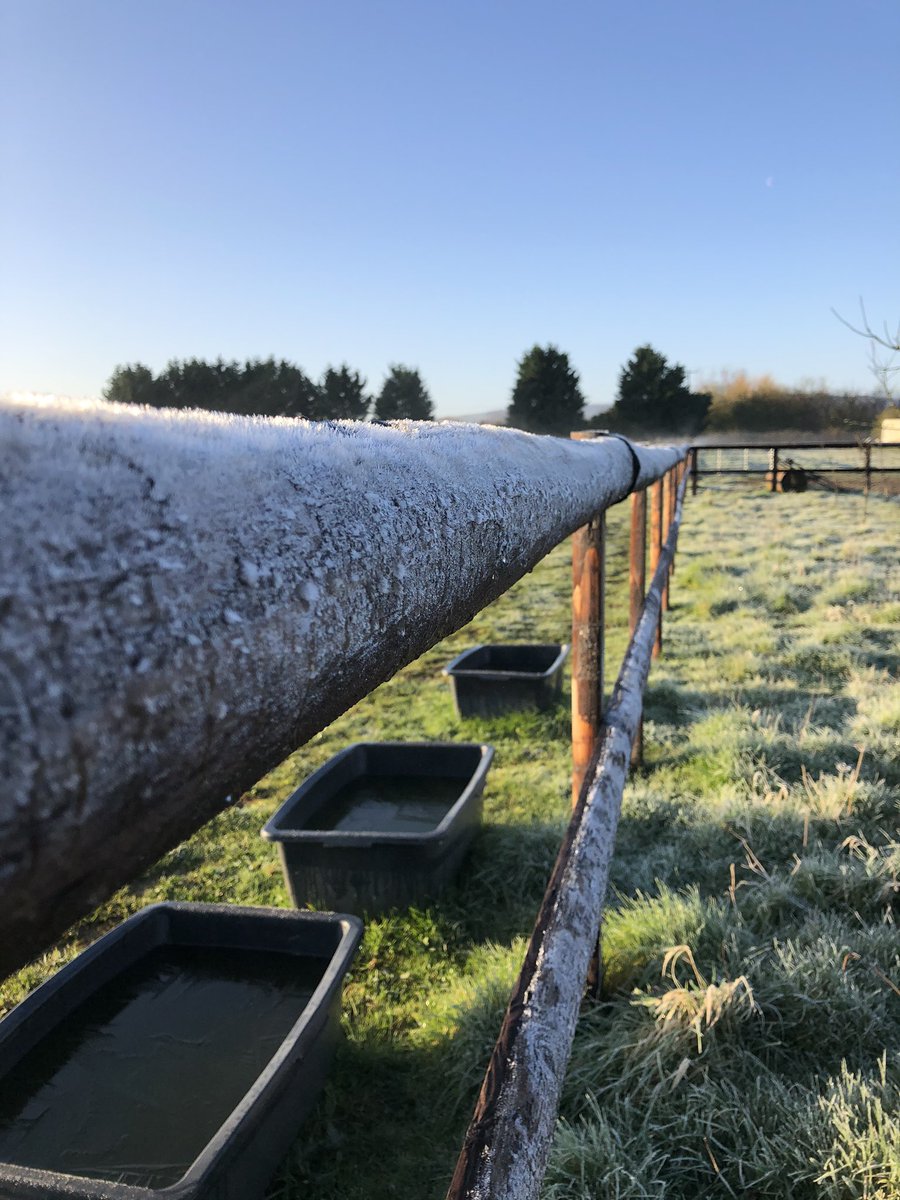 CountryCreat's tweet photo. Starting work at 7am seems a little easier now the lighter mornings are coming! It was rather chilly this morning but what a beautiful day we’ve had! https://t.co/VFIZvm8rZw