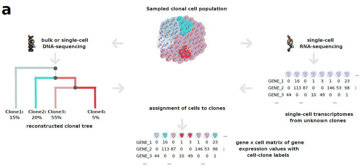 Nature Methods tweet media