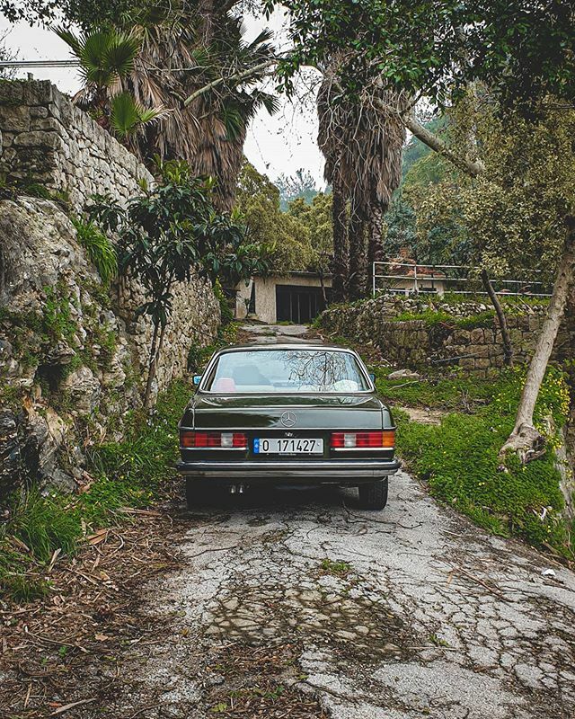 I see trees of green🌳

#MercedesBenz #MBLebanon #MBClassic #MBFanPhoto #W123 #C123
#BenzRoyals ift.tt/2x3d5CM