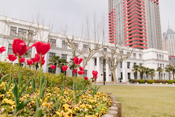 ECNUER's tweet photo. After a long, cold winter, at last comes the spring. With a crescendo of songbirds and a display of flowers bursting into colorful life, the campus of ECNU is amazingly beautiful.
Click the link to see more pictures.
https://t.co/uggvVPCzq2 https://t.co/TsD5CPYySs