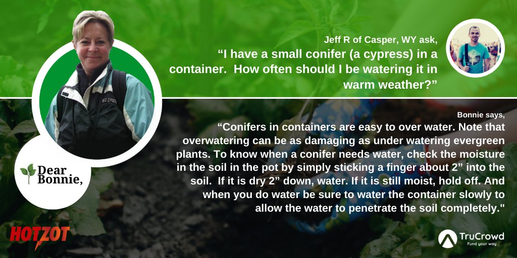 HotZot1's tweet photo. Bonnie Bruce, a professional landscape designer and Master Gardener with formal horticultural training, is an expert in all things gardening. Read more about it here: https://t.co/LkOQzrV96B https://t.co/JPiHke8wHY