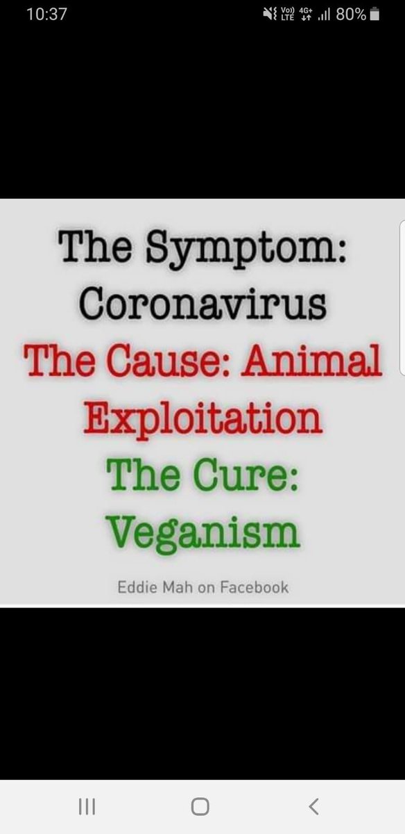 KineticKash's tweet photo. #Vegan #Coronavirus #AnimalExploitation #VeganForTheAnimals #Covid19 #AnimalRights #EatVegan #GoVegan #VeganForThePlanet #BeKindToAllKinds #Virus #Corona #EatBeansNotBeings #VeganFollowBack #vegetarian #vegetarianFollowBack #VeganFollow #vegetarianFollow https://t.co/UxIYN66wL3