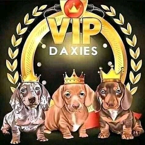 DanielToon11's tweet photo. 🔥🔥WOULD YOU LIKE 🔥🔥TO GET A CARTOON PORTRAIT, 💯💯LOGOS 💮.COVER ART AND ANIMATED VIDEO DONE FOR 🔥YOURSELF OR FOR YOUR LOVE ONE'S💯💯 AT AN AFFORDABLE PRICE#barber #men #barbermundial #barberlicense #barberpride #menhaircut #barberfamily #barbershopconnect #wahl #barbers # https://t.co/HnPuavoOGo