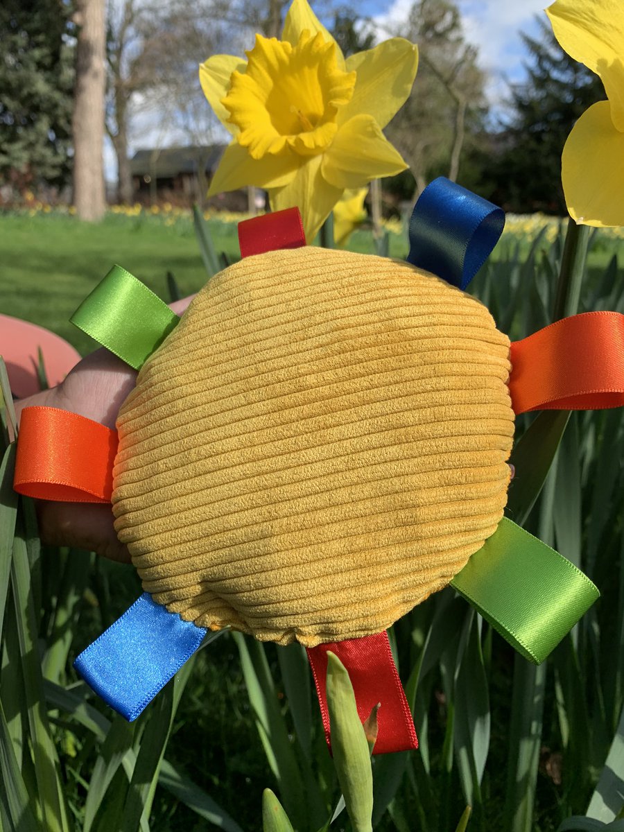 HuddleCuddle_YE's tweet photo. Introducing... Sunny! Your sensational, sweet and sincere friend for daytime with plenty of mentally stimulating textures! We are so glad you can finally meet them!💛
#youngenterprise #huddlecuddleagc #youngenterprise2020 #autismawareness https://t.co/ZqaVDfM0vf
